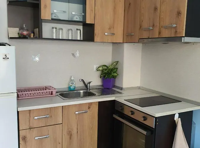 Apartment Flowers Pomorie