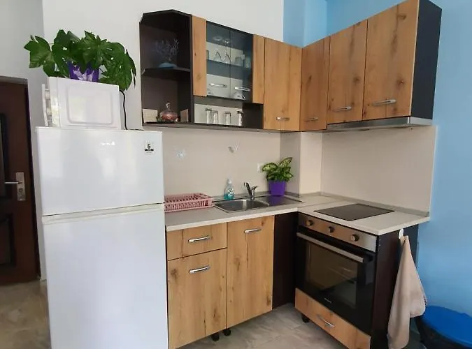 Flowers Apartment Pomorie